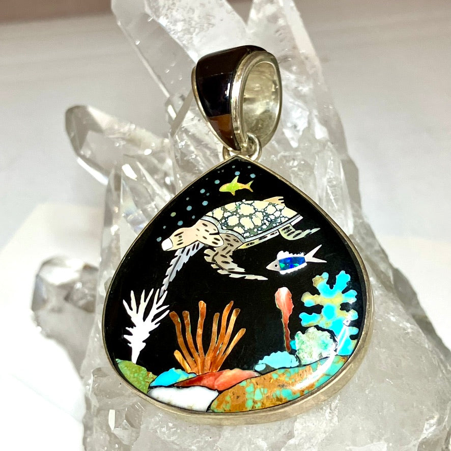Teardrop Sea Turtle