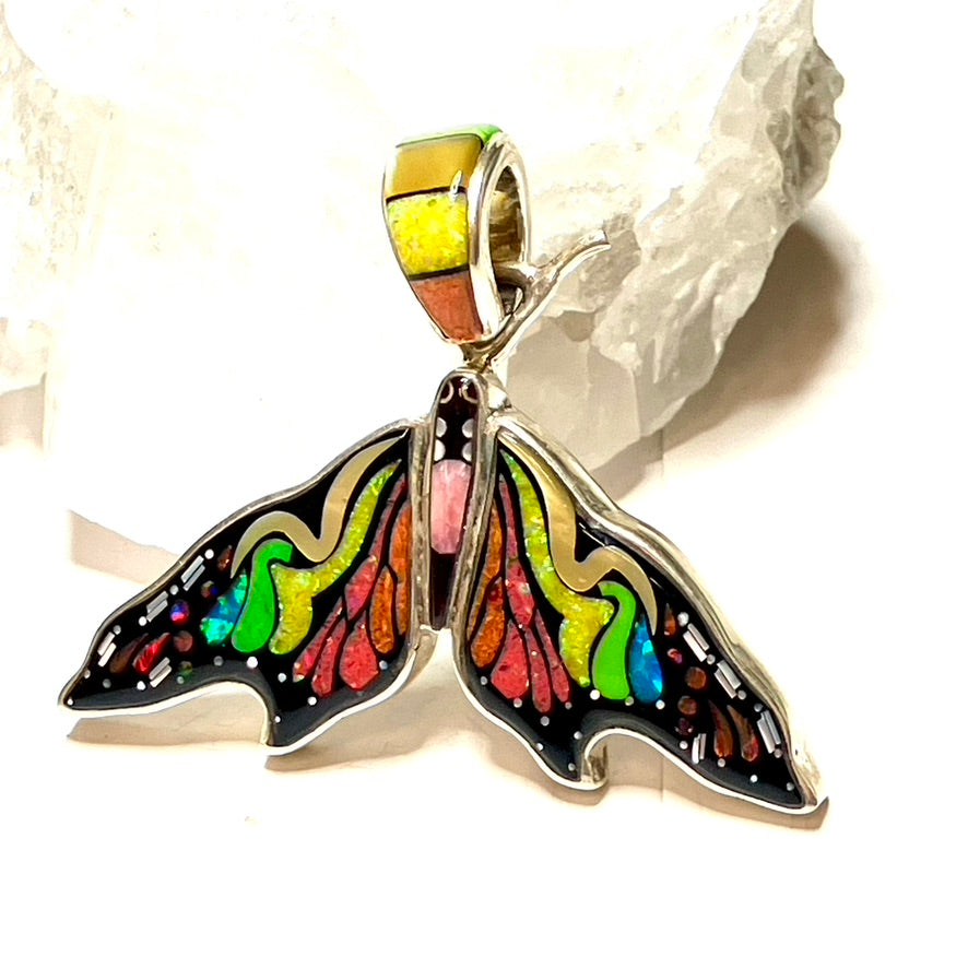 Psychedelic Moth