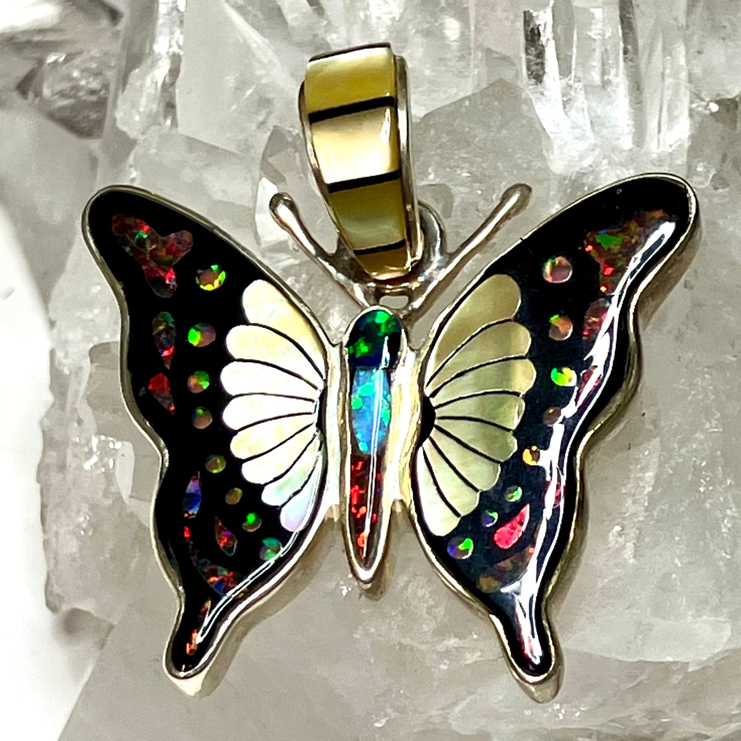 Gold Lip Butterfly