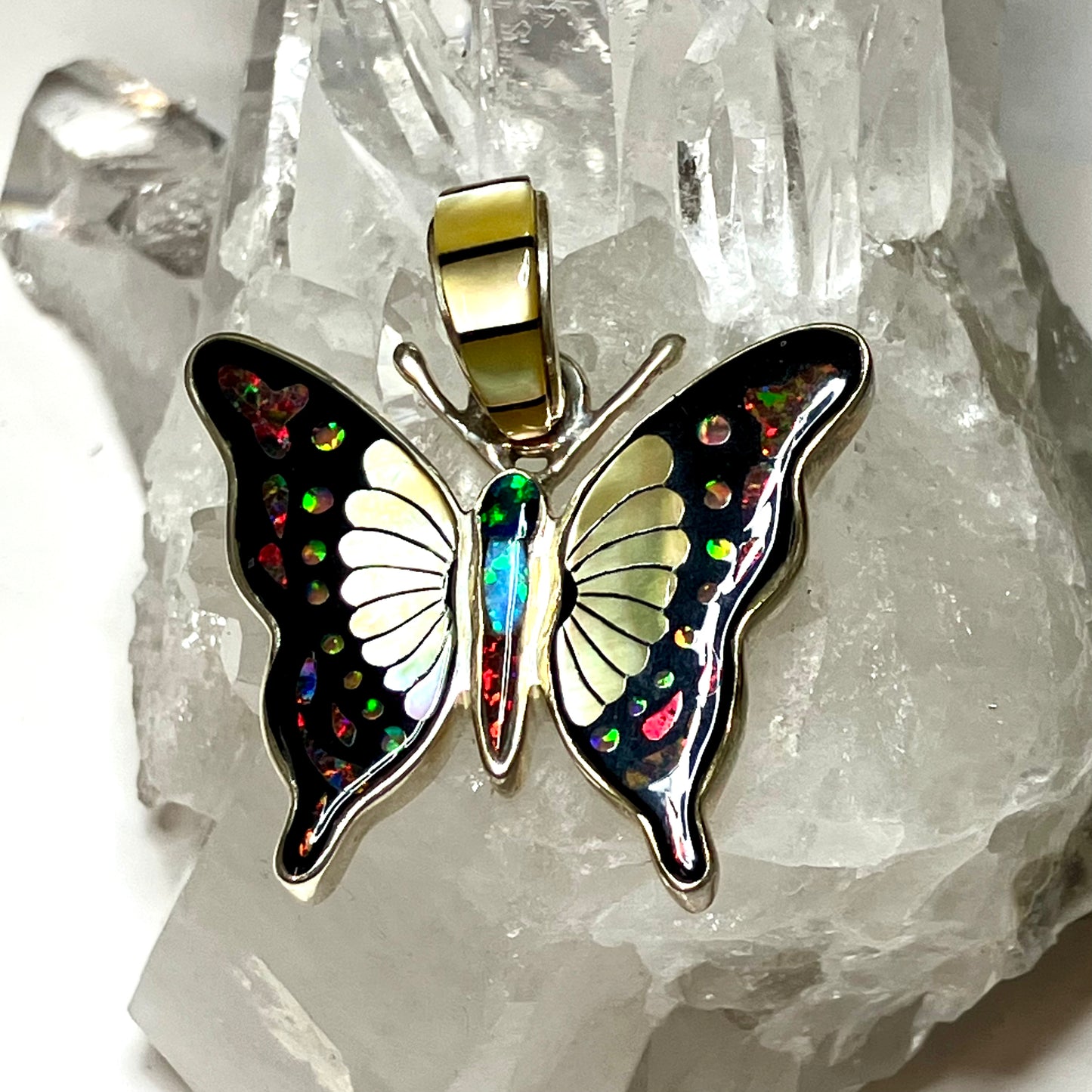 Gold Lip Butterfly