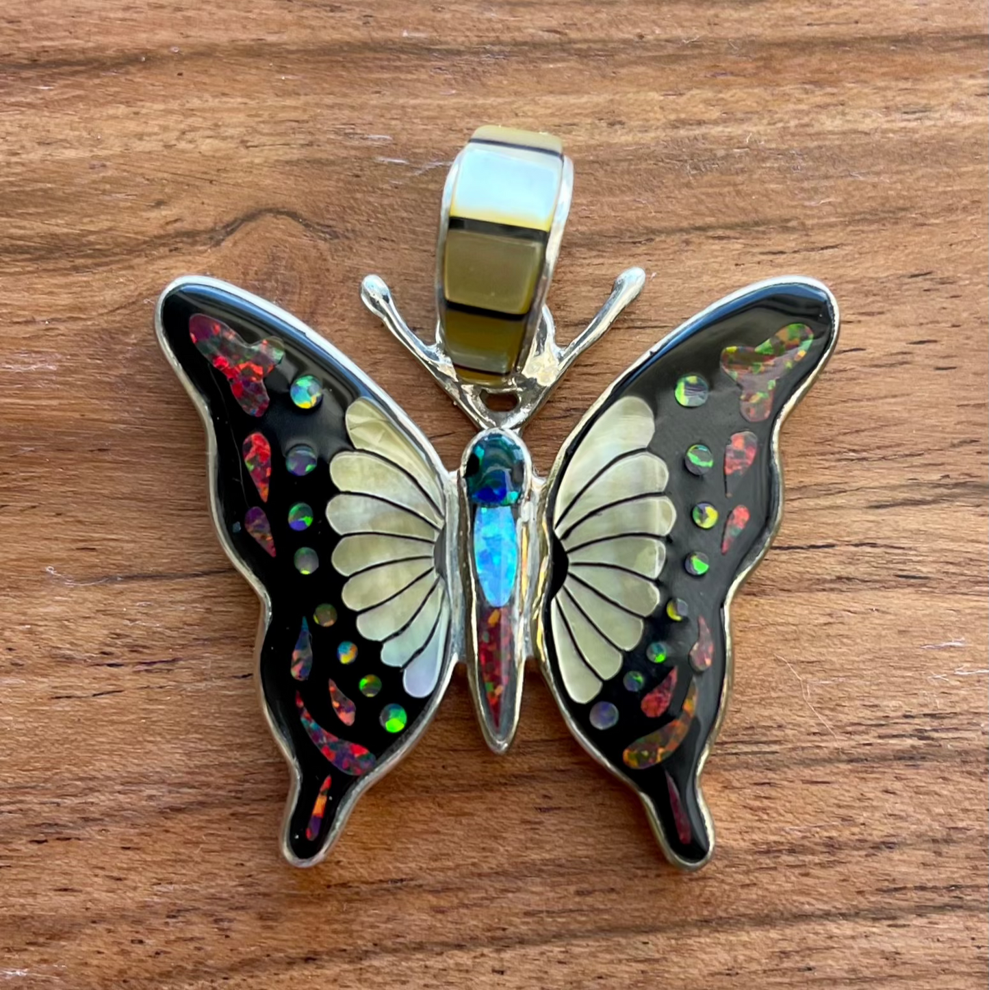Gold lip Butterfly