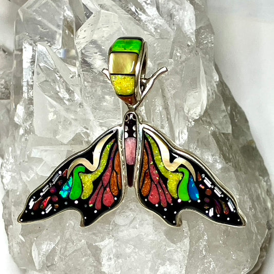 Psychedelic Moth