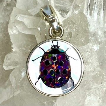 Ladybug