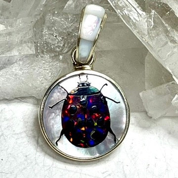 Ladybug