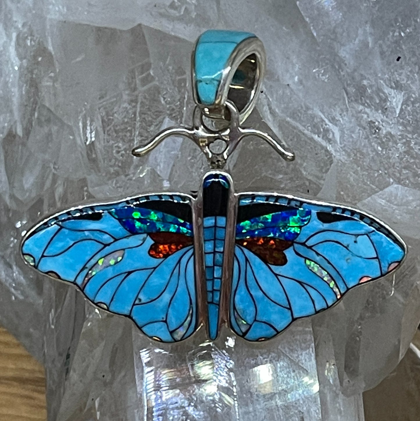 Turquoise Butterfly